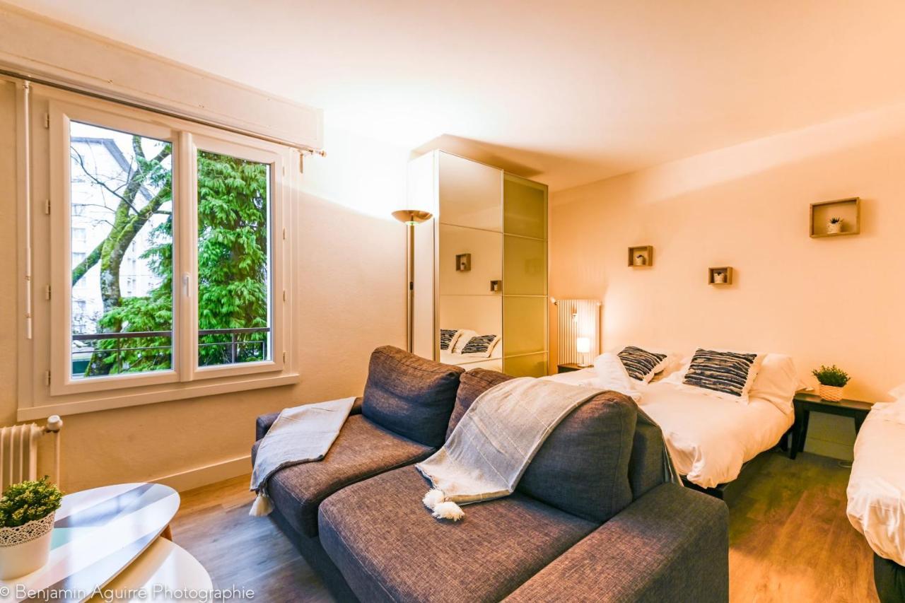 Les Mouettes Du Lac N2 - Grand Studio 500 M From Lake Annecy Exterior photo